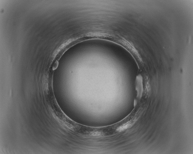 X0000086060204200703301049