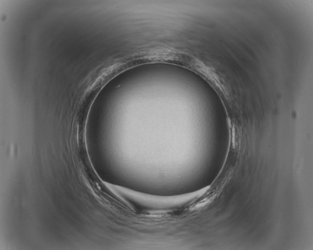 X0000086060205200703301049