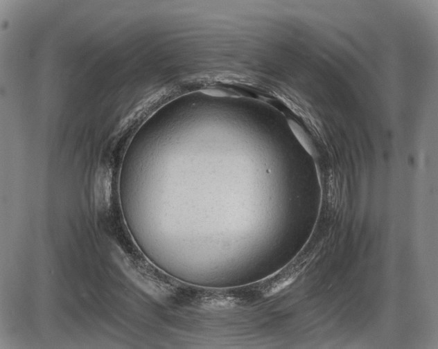 X0000086060206200703301049