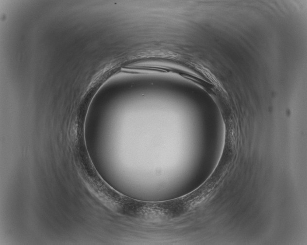 X0000086060207200703301049