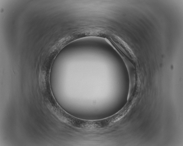 X0000086060209200703301049