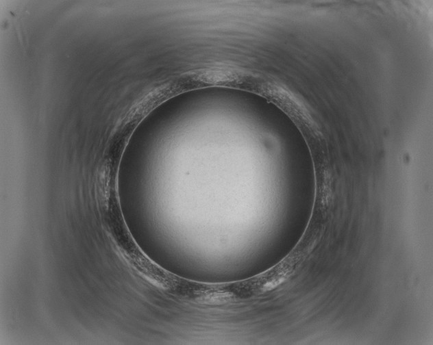 X0000086060210200703301049