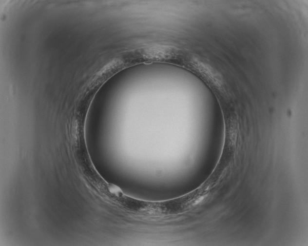 X0000086060211200703301049