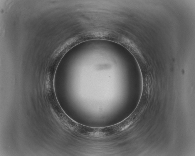 X0000086060212200703301049