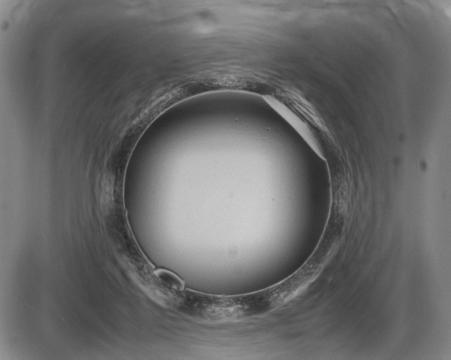 X0000086060213200703301049