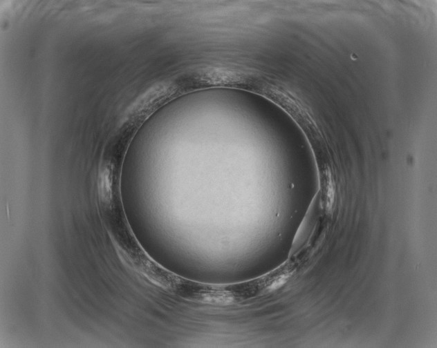 X0000086060214200703301049