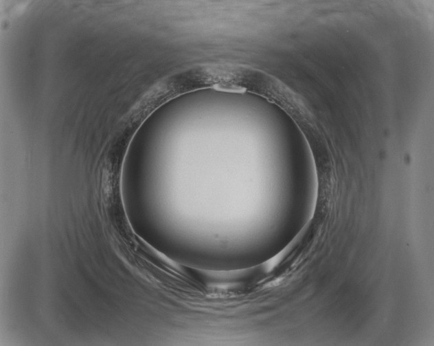 X0000086060215200703301049