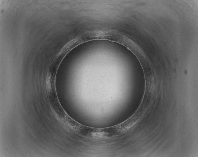 X0000086060216200703301049