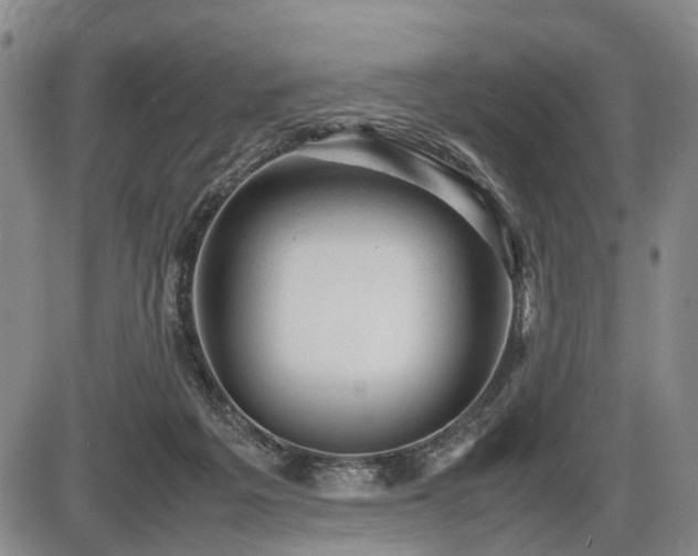 X0000086060217200703301049