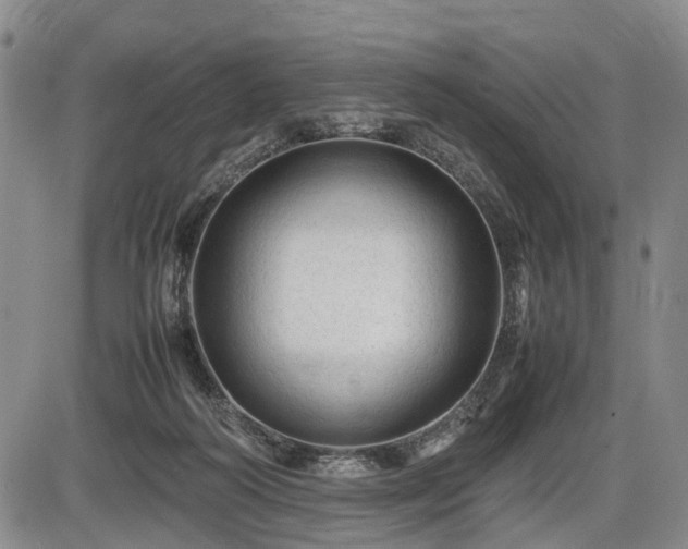 X0000086060218200703301049