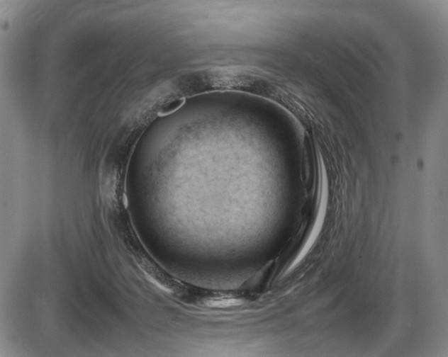 X0000086060219200703301049