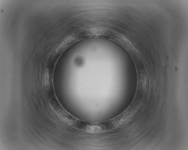 X0000086060220200703301049