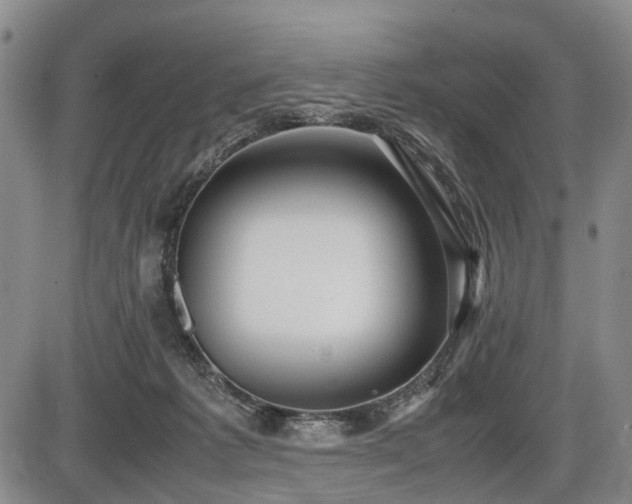 X0000086060221200703301049