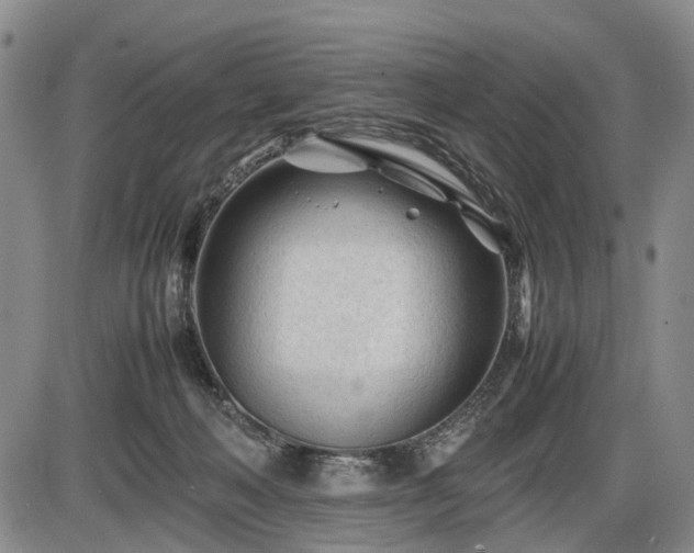 X0000086060222200703301049