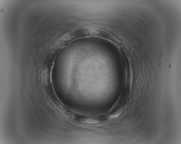 X0000086060223200703301049