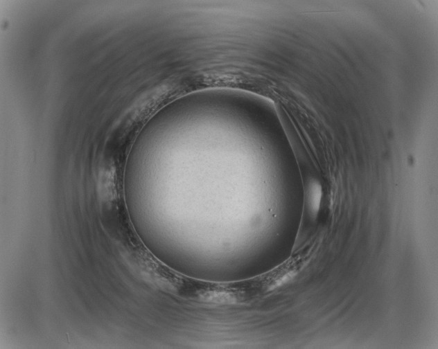 X0000086060224200703301049