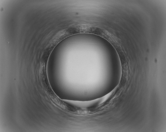 X0000086060225200703301049