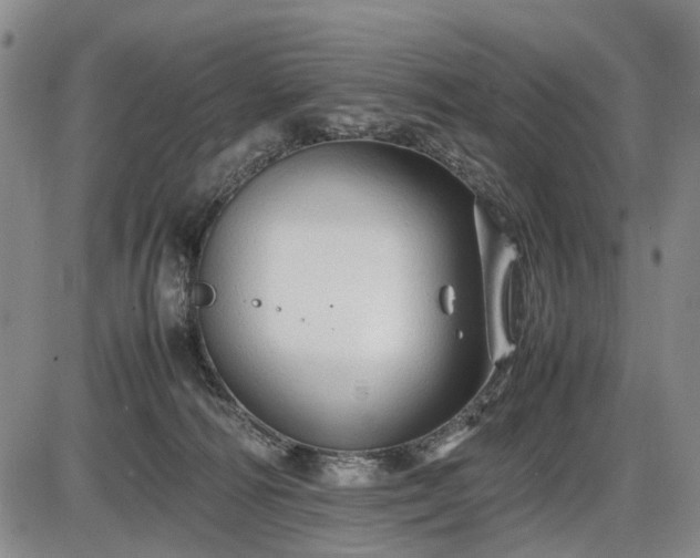 X0000086060226200703301049