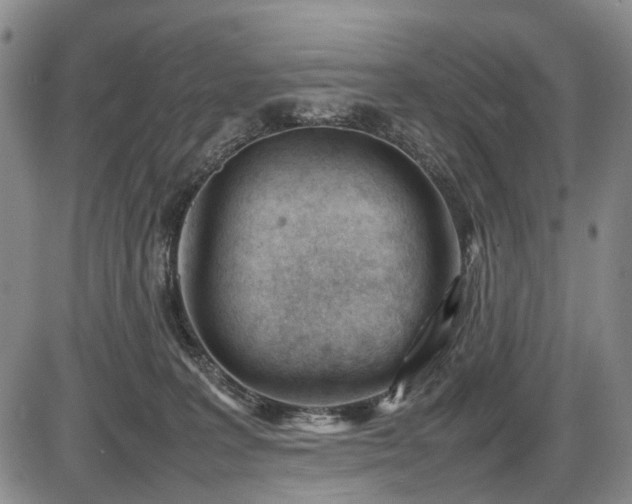 X0000086060227200703301049