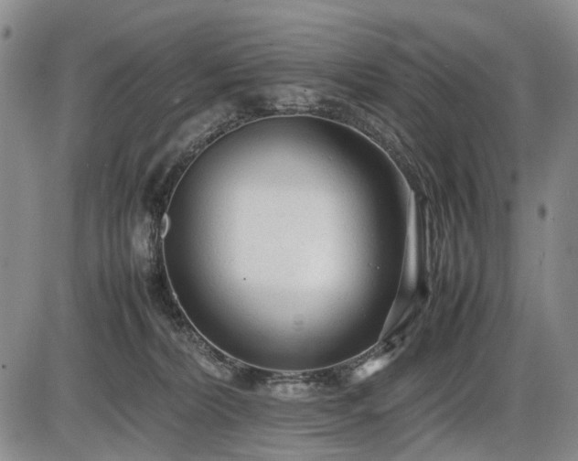 X0000086060228200703301049