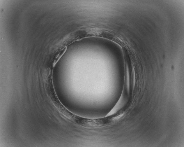 X0000086060229200703301049