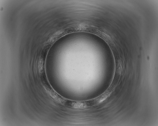 X0000086060230200703301049