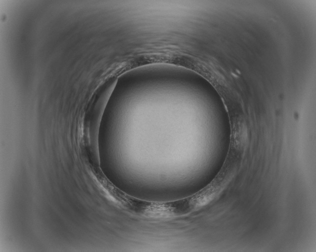 X0000086060231200703301049