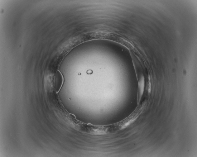 X0000086060232200703301049