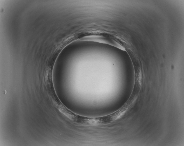 X0000086060233200703301049