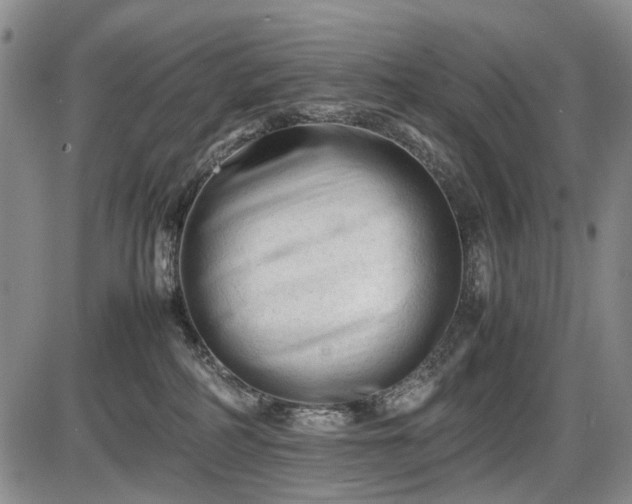 X0000086060234200703301049