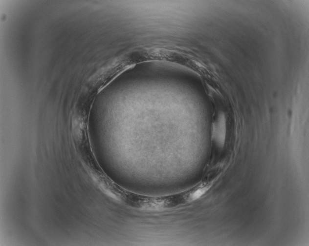 X0000086060235200703301049