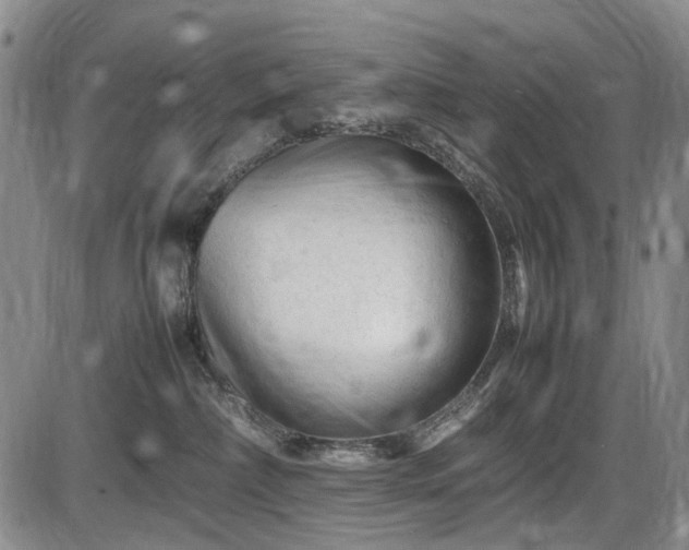 X0000086060236200703301049