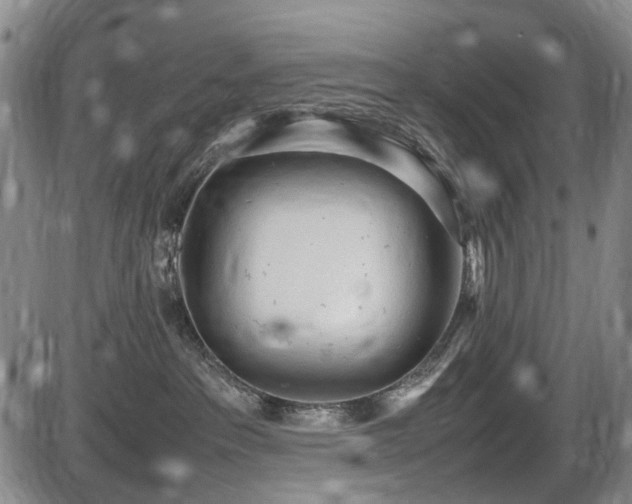 X0000086060237200703301049