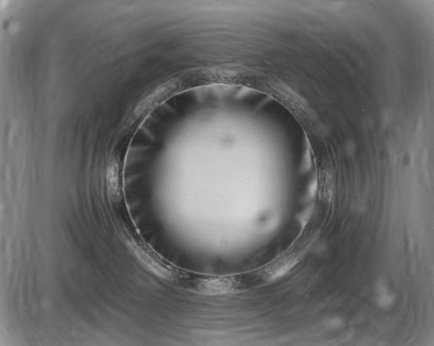 X0000086060238200703301049