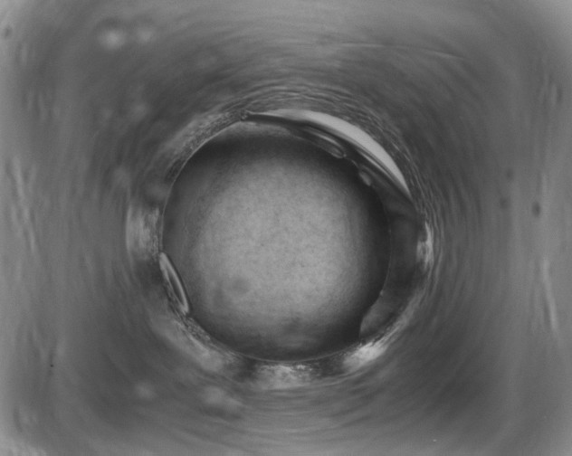 X0000086060239200703301049