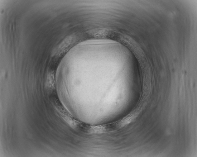 X0000086060240200703301049