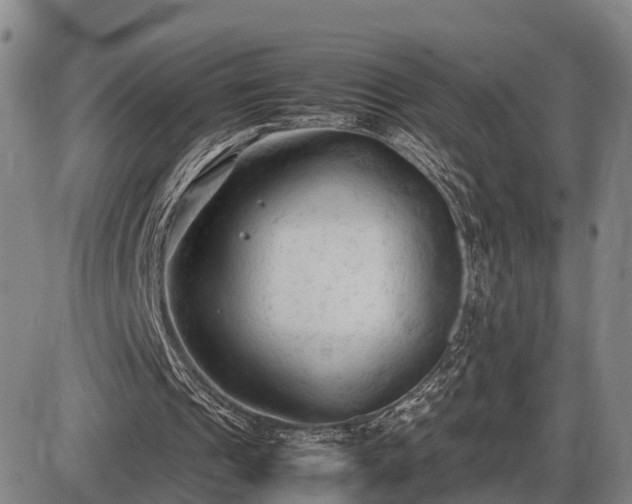 X0000086060241200703301048