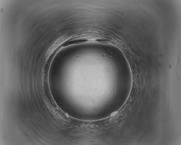 X0000086060242200703301048