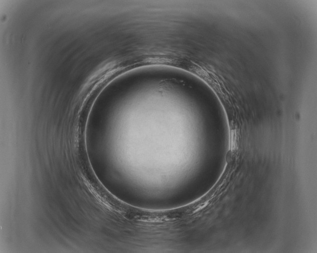 X0000086060243200703301048