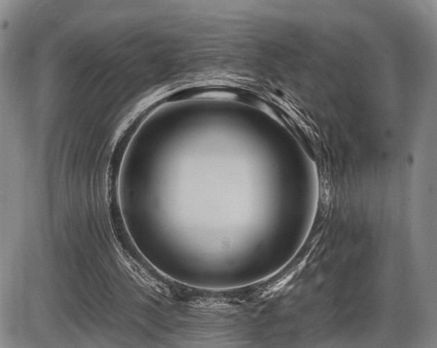 X0000086060244200703301048