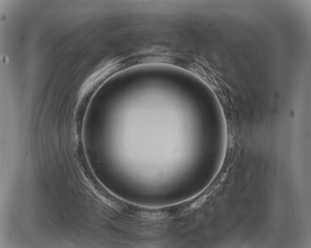 X0000086060245200703301048