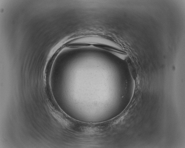 X0000086060246200703301048