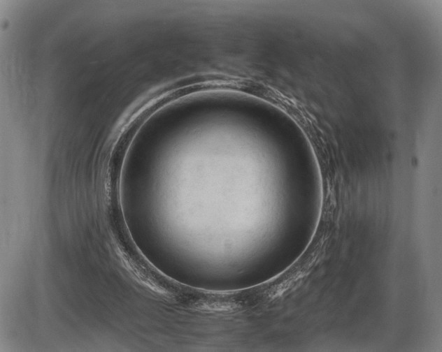 X0000086060247200703301048