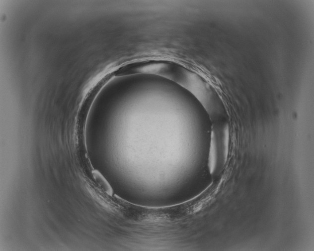 X0000086060248200703301048