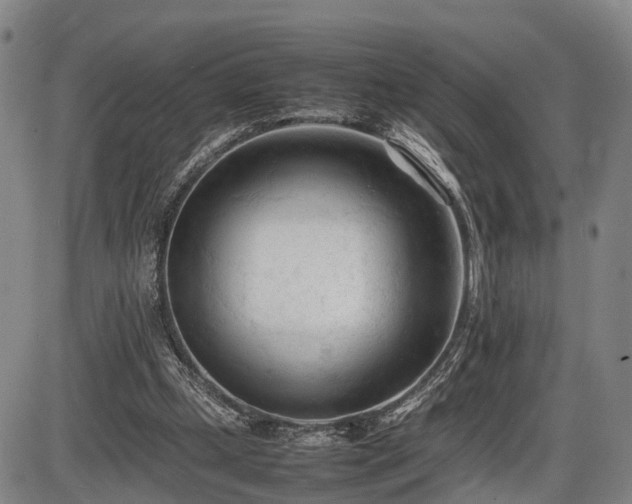 X0000086060249200703301048