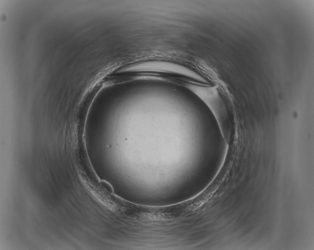 X0000086060250200703301048