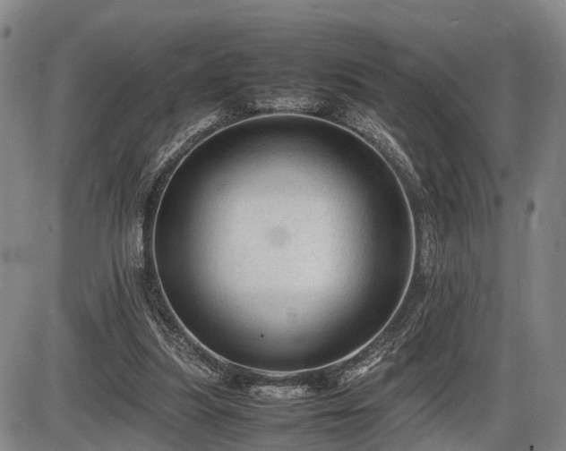 X0000086060251200703301048