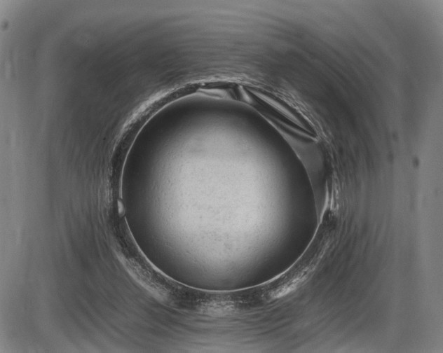 X0000086060252200703301048