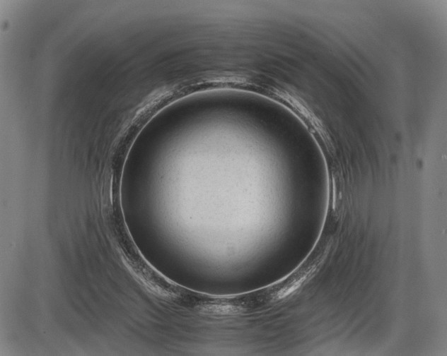 X0000086060253200703301048