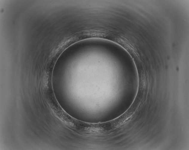 X0000086060255200703301048